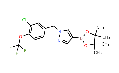 1604036-66-9 | 1-(3-Chloro-4-(trifluoromethoxy)benzyl)-4-(4,4,5,5-tetramethyl-1,3,2-dioxaborolan-2-yl)-1h-pyrazole