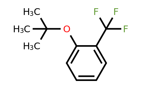 16222-42-7 | 1-(tert-Butoxy)-2-(trifluoromethyl)benzene