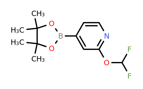 1628116-87-9 | 2-(Difluoromethoxy)-4-(4,4,5,5-tetramethyl-1,3,2-dioxaborolan-2-yl)pyridine