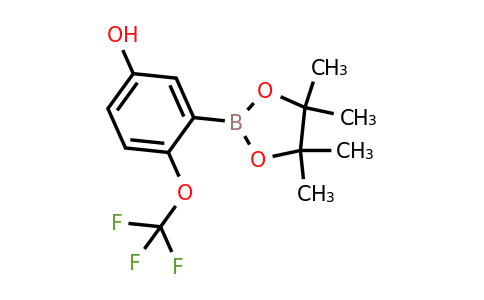 1689502-03-1 | 3-(4,4,5,5-Tetramethyl-1,3,2-dioxaborolan-2-yl)-4-(trifluoromethoxy)phenol