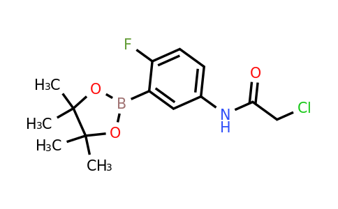 1704121-67-4 | 2-chloro-N-(4-fluoro-3-(4,4,5,5-tetramethyl-1,3,2-dioxaborolan-2-yl)phenyl)acetamide