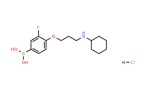 1704121-98-1 | (4-(3-(Cyclohexylamino)propoxy)-3-fluorophenyl)boronic acid hydrochloride