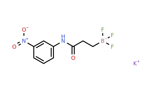1705578-38-6 | potassium trifluoro(3-((3-nitrophenyl)amino)-3-oxopropyl)borate