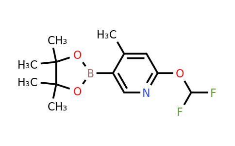 1772607-42-7 | 2-(Difluoromethoxy)-4-methyl-5-(4,4,5,5-tetramethyl-1,3,2-dioxaborolan-2-yl)pyridine