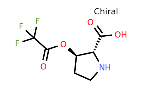 1788054-78-3 | (2R,3R)-rel-3-(2,2,2-Trifluoroacetoxy)pyrrolidine-2-carboxylic acid