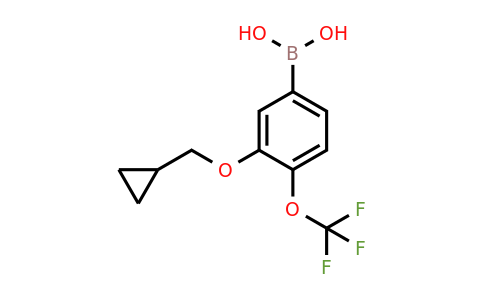 1793003-76-5 | 3-(Cyclopropylmethoxy)-4-(trifluoromethoxy)phenylboronic acid