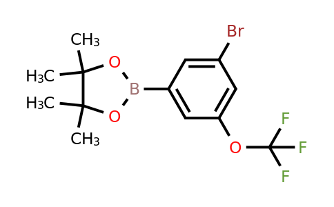 1799485-18-9 | 2-(3-bromo-5-(trifluoromethoxy)phenyl)-4,4,5,5-tetramethyl-1,3,2-dioxaborolane