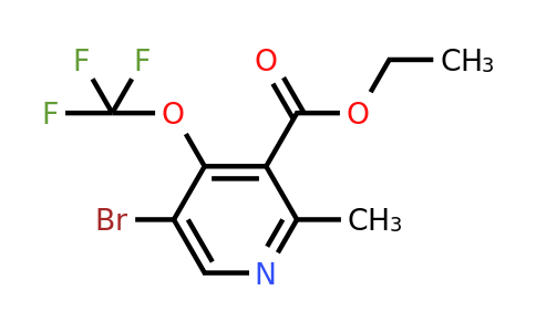 1803575-63-4 | Ethyl 5-bromo-2-methyl-4-(trifluoromethoxy)pyridine-3-carboxylate