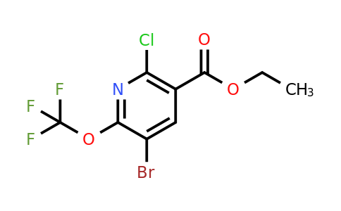 Ethyl 3-bromo-6-chloro-2-(trifluoromethoxy)pyridine-5-carboxylate