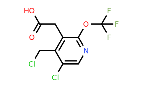 5-Chloro-4-(chloromethyl)-2-(trifluoromethoxy)pyridine-3-acetic acid