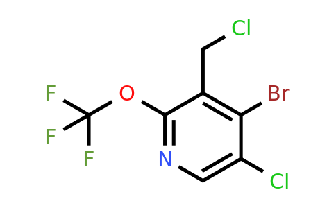 1803657-23-9 | 4-Bromo-5-chloro-3-(chloromethyl)-2-(trifluoromethoxy)pyridine