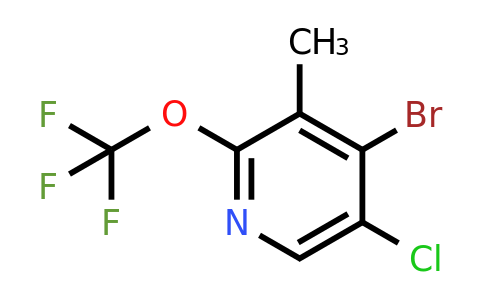1803663-13-9 | 4-Bromo-5-chloro-3-methyl-2-(trifluoromethoxy)pyridine