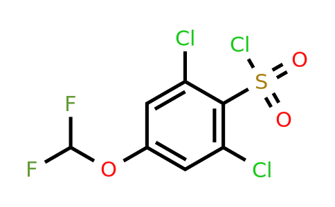 1803712-48-2 | 2,6-Dichloro-4-(difluoromethoxy)benzenesulfonylchloride