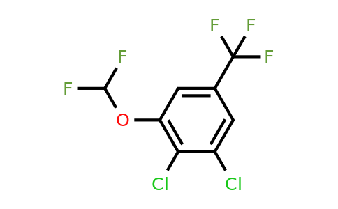 1803713-34-9 | 3,4-Dichloro-5-(difluoromethoxy)benzotrifluoride