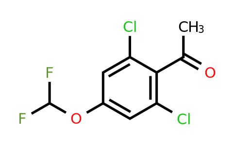 1803717-58-9 | 2',6'-Dichloro-4'-(difluoromethoxy)acetophenone