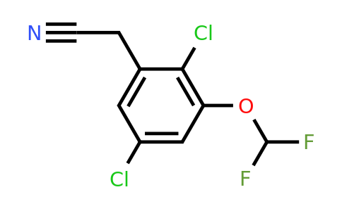 1803717-87-4 | 2,5-Dichloro-3-(difluoromethoxy)phenylacetonitrile