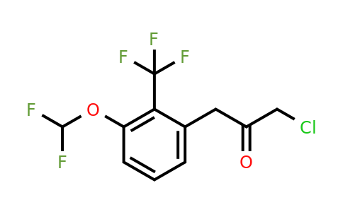 1803722-08-8 | 1-Chloro-3-(3-(difluoromethoxy)-2-(trifluoromethyl)phenyl)propan-2-one
