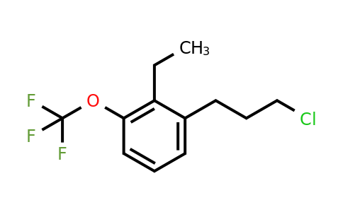 1803727-19-6 | 1-(3-Chloropropyl)-2-ethyl-3-(trifluoromethoxy)benzene
