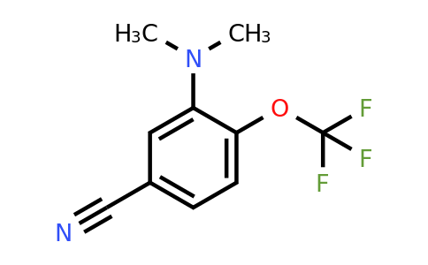 1803771-82-5 | 3-Dimethylamino-4-(trifluoromethoxy)benzonitrile