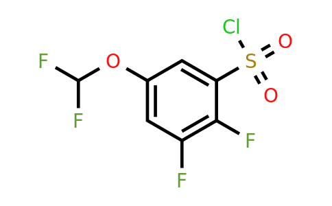 1803783-28-9 | 2,3-Difluoro-5-(difluoromethoxy)benzenesulfonylchloride