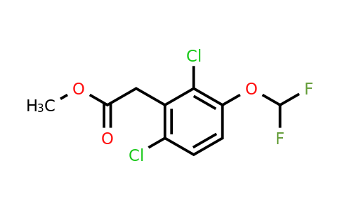1803791-53-8 | Methyl 2,6-dichloro-3-(difluoromethoxy)phenylacetate
