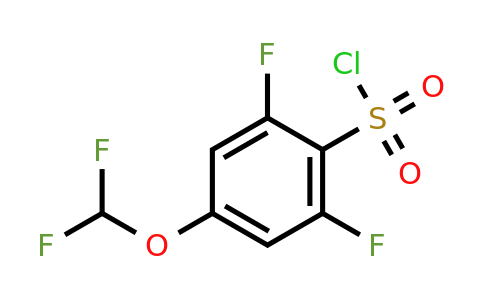 1803802-95-0 | 2,6-Difluoro-4-(difluoromethoxy)benzenesulfonylchloride