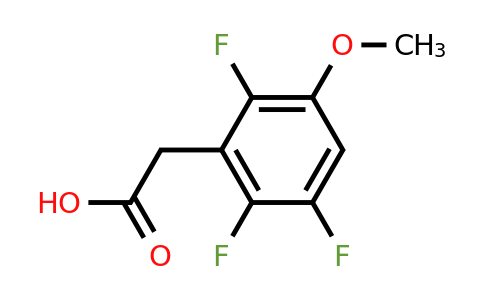 1803803-81-7 | 3-Methoxy-2,5,6-trifluorophenylacetic acid