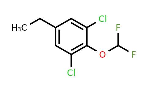 1803806-48-5 | 1,3-Dichloro-2-difluoromethoxy-5-ethylbenzene