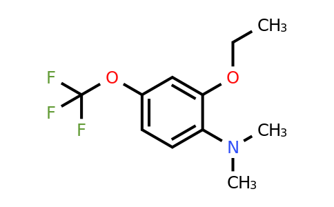 1803811-69-9 | 1-Dimethylamino-2-ethoxy-4-(trifluoromethoxy)benzene