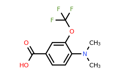 4-Dimethylamino-3-(trifluoromethoxy)benzoic acid