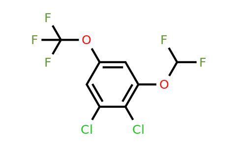 1803819-48-8 | 1,2-Dichloro-3-difluoromethoxy-5-(trifluoromethoxy)benzene
