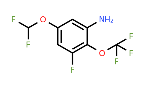 1803823-95-1 | 5-Difluoromethoxy-3-fluoro-2-(trifluoromethoxy)aniline