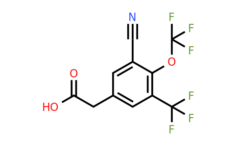 1803826-00-7 | 3-Cyano-4-trifluoromethoxy-5-(trifluoromethyl)phenylacetic acid