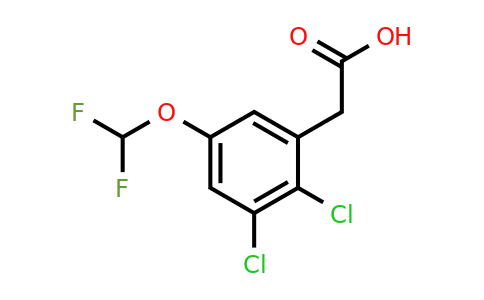 1803832-89-4 | 2,3-Dichloro-5-(difluoromethoxy)phenylacetic acid