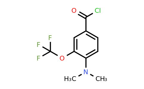 1803851-09-3 | 4-Dimethylamino-3-(trifluoromethoxy)benzoyl chloride