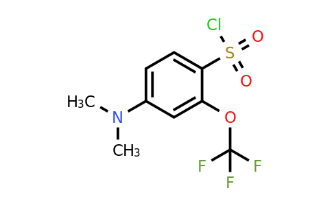 1803877-31-7 | 4-Dimethylamino-2-(trifluoromethoxy)benzenesulfonylchloride