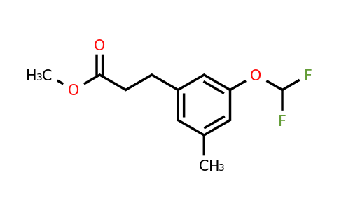 1803892-13-8 | Methyl 3-(difluoromethoxy)-5-methylphenylpropanoate