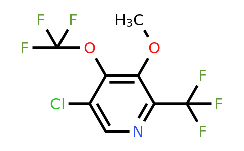 5-Chloro-3-methoxy-4-(trifluoromethoxy)-2-(trifluoromethyl)pyridine