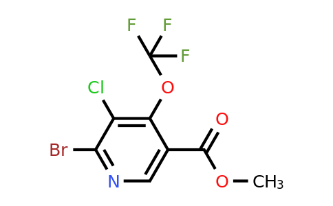 Methyl 2-bromo-3-chloro-4-(trifluoromethoxy)pyridine-5-carboxylate