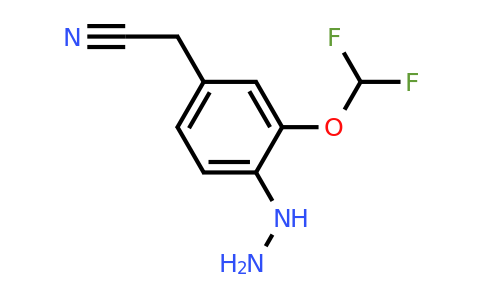 1804042-38-3 | 3-(Difluoromethoxy)-4-hydrazinylphenylacetonitrile