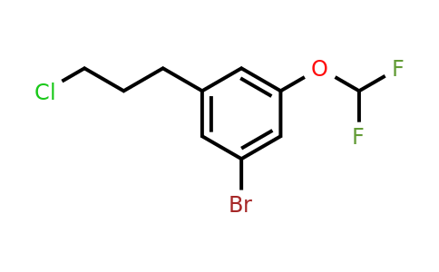 1804063-16-8 | 3-Bromo-5-(3-chloropropyl)(difluoromethoxy)benzene