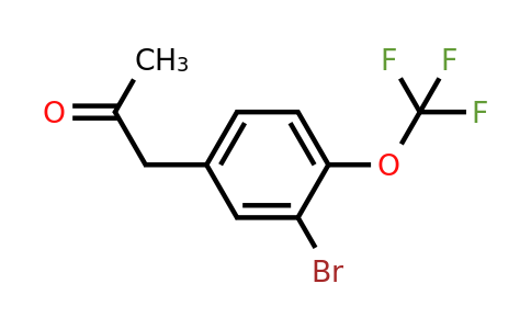 1804065-66-4 | 1-(3-Bromo-4-(trifluoromethoxy)phenyl)propan-2-one
