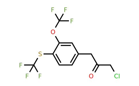 1804071-96-2 | 1-Chloro-3-(3-(trifluoromethoxy)-4-(trifluoromethylthio)phenyl)propan-2-one