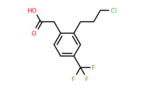 1804072-05-6 | 2-(3-Chloropropyl)-4-(trifluoromethyl)phenylacetic acid
