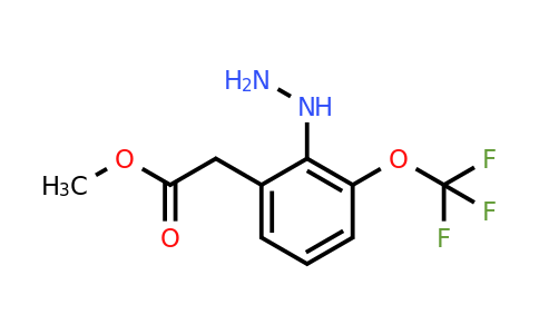 1804072-23-8 | Methyl 2-hydrazinyl-3-(trifluoromethoxy)phenylacetate