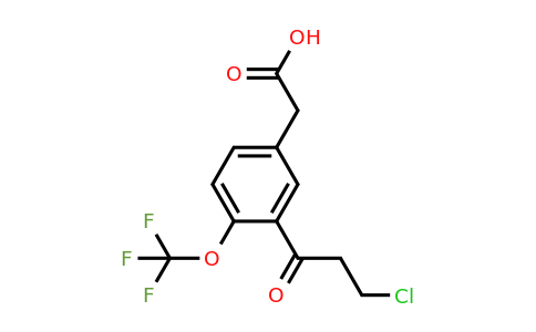 1804072-98-7 | 3-(3-Chloropropanoyl)-4-(trifluoromethoxy)phenylacetic acid