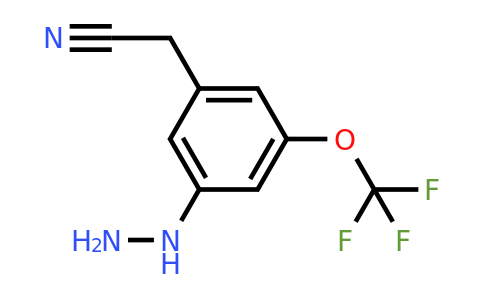 1804074-39-2 | 3-Hydrazinyl-5-(trifluoromethoxy)phenylacetonitrile