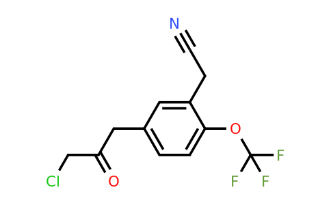 1804075-16-8 | 5-(3-Chloro-2-oxopropyl)-2-(trifluoromethoxy)phenylacetonitrile
