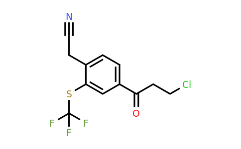 1804077-51-7 | 4-(3-Chloropropanoyl)-2-(trifluoromethylthio)phenylacetonitrile