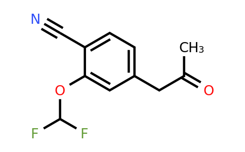 1804084-94-3 | 2-(Difluoromethoxy)-4-(2-oxopropyl)benzonitrile